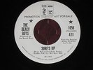 Beach Boys  Surf's Up/Don't Go Near the Water  promo