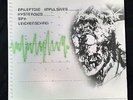SPK LEICHENSCHREI LP 1982 RARE INDUSTRIAL Graeme Revell Lustmord Psychic TV