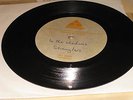 The Stranglers In The Shadows 1977 Trident UK Acetate : punk, clash, sex pistols