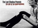Last Shadow Puppets: Age of the Understatement LP