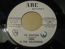 Terri & the Velveteens - I'm Waiting / La Flor Vinyl 45RPM ARC Records PROMO
