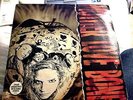 Mother Love Bone Apple Vinyl LP Record Pearl Jam Rare