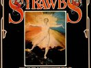 THE STRAWBS Grave New World 1972 UK vinyl LP EXCELLENT CONDITION