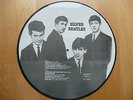 Beatles Silver Beatles Beautiful Picture Disc Made in Denmark 1983 AR 30003 look