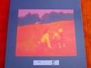 Sealed - Eels - Blinking Lights & Other Revelations 4LP Vinyl Box Set #1088/2500