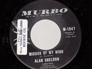 HEAR Soul Blue Eyed Rare 45 ALAN SHELDON Mirror Of My Mind on Murbo