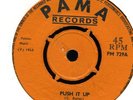 013 TERMITES-PUSH IT UP-TWO OF A KIND-1968 PAMA-REGGAE 45 7
