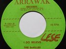 THE DEVILLES: RARE DOO WOP 45 on ARRAWAK super obscure I DO BELIEVE hear