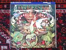 AUDIOPHILE Spyro Gyra MORNING DANCE Nautilus Half-Speed Mastered Superdisc NM