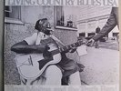 FLORA MOLTON & Truth Band From Washington DC Living Country Blues LP NM