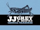 JJ Grey & Mofro / Georgia Warhorse - Vinyl LP 180g, audiophil