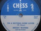 MUDDY WATERS 78 on Chess  