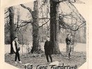 THE GENE SYNDROME Party In The Trees 7