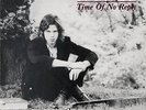 NICK DRAKE-TIME OF NO REPLY-Folk Rock Acoustic-NEW LP