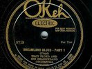 TROY FLOYD - DREAMLAND BLUES - NEAR MINT OKEH 78 RPM