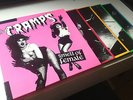 The Cramps - Smell Of Female RARE FRENCH New Rose 7