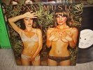 Roxy Music / Country Life, Japan Toshiba Promo LP,Very Rare