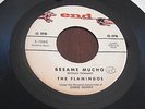POPCORN - THE FLAMINGOS - BESAME MUCHO - LISTEN