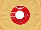 CANADA ROCK 1960s 45 RPM JOHNNY CHESTER WITH THE THUNDERBIRDS : SHAKIN' ALL OVER