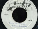 Junior Delgado - Sons Of Slaves JA orig 7