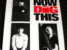 THE ELVIS BROTHERS *RARE* 1992 PROMO POSTER EX. COND. INDIE POWER POP ROMANTICS