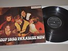GROUP 1850 - paradise now, Dutch Holland original discofoon VD 7063