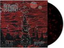 OBLITERATION - Black Death Horizon [RED/BLACK Vinyl] (LP)