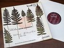 Philips Hifi-Stereo-Oistrakh-Ormandy Sibelius Violin Concerto