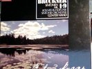 Bruckner, Sinfonien, Nr. 1-9, Günter Wand, Box 11 LP - Vinyl - Schallplatte Wand