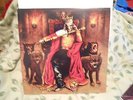 Iron Maiden edward the great picture disc set import excellent