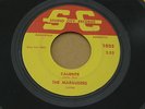 MARAUDERS CALIENTE STUDIO CITY orig US GARAGE ROCK SURF INSTRO 7