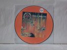 SLAYER - HELL AWAITS 1985 LTD PICTURE DISC #1133