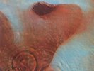 PINK FLOYD / MEDDLE LP Gatefold w/ Insert Orig JAPAN ISSUE