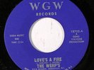 WERP'S: Love's A Fire / Shades Of Blue 45 rare Rock & Pop