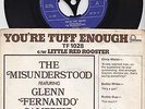THE MISUNDERSTOOD YOU'RE TUFF ENOUGH 1969 FONTANA TF1028 RARE PSYCH GARAGE BLUES