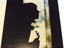 PAUL WELLER Wild Wood LP Gatefold Sleeve + Glossy inner-sleeve