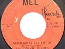 FUNK 45-DYNAMIC DESIRES-NEVER GONNA LET YOU GO /KNOCK THREE TIMES on MEL
