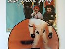 New Found Glory Self Titles Picture Disc LP vinyl record indie LTD 2000