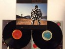 PINK FLOYD - DELICATE SOUND OF THUNDER - DOUBLE 2X LP ALBUM - EX CONDITION