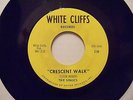 Rare Soul-The Sonics-Crescent Walk / Come Home Baby-White Cliffs 230-Listen 2