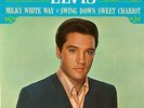 Elvis Presley Record (45) - Vintage RCA Victor Gold  (rare pic sleeve) 447-0652
