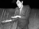 Iggy Pop - The Idiot 180G LP REISSUE NEW 4 MEN WITH BEARDS David Bowie produced
