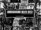 UNDERGROUND NEVER DIES [Boxset] - By Andrés Padilla  [BOOK+LP+CD+MC]