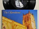 The Chameleons - A Person Isn't Safe Anywhere These Days 7