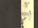 VIRGIN PRUNES 2LP ROUGH TRADE  41 (1981)