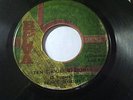 REGGAE-RARE PRINCE HAMMER -TEN THOUSAND LION-DEEP ROOTS on BEVA ORIGINAL  45