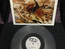 LITFIBA DIAFRAMMA Amsterdam EP Vinile Trasparente IRA LP 12 RARO ROCK NEW WAVE