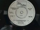 Just A Little Misunderstanding/Determination-The Contours DEMO