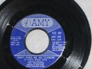 Rare 45 AMY #938 THE BREAKERS Don't Send Me No Flowers / LOve Of My Life