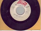 SAN ANTONIO SOUL 45  SOUL BLAZERS   Mr Clark is the shark  vg to vg+  ' 60s